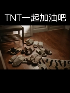 TNT一起加油吧